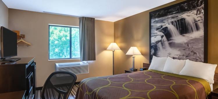 艾尔金斯速8酒店(Super 8 by Wyndham Elkins)图片