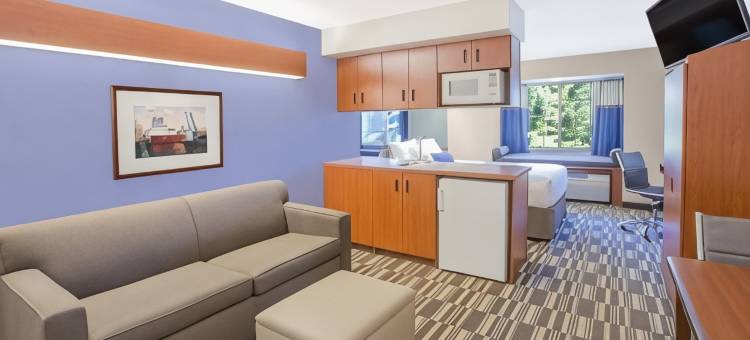 麦尼斯蒂麦客达套房酒店(Microtel Inn & Suites by Wyndham Manistee)图片