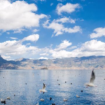 西昌+攀枝花+泸沽湖8日7晚跟团游