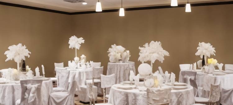 埃尔帕索希尔顿花园酒店/大学(Hilton Garden Inn El Paso / University)图片