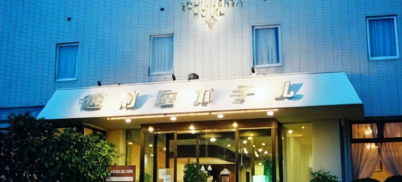 越前屋酒店(Echizenya Hotel)图片