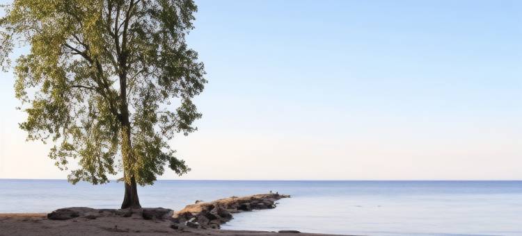 希尔顿欢朋酒店-克利夫兰韦斯特莱克(Hampton Inn Cleveland/Westlake)图片