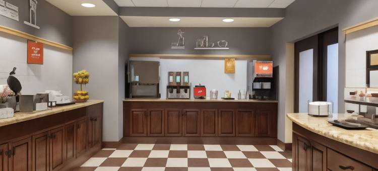 希尔顿欢朋套房酒店-罗杰斯(Hampton Inn & Suites Rogers)图片