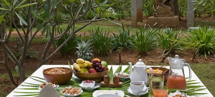 什莱亚斯瑜伽精修酒店(Shreyas Retreat)图片