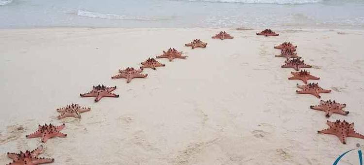 拉哈特图标酒店(Rahat Icon Hotel)图片