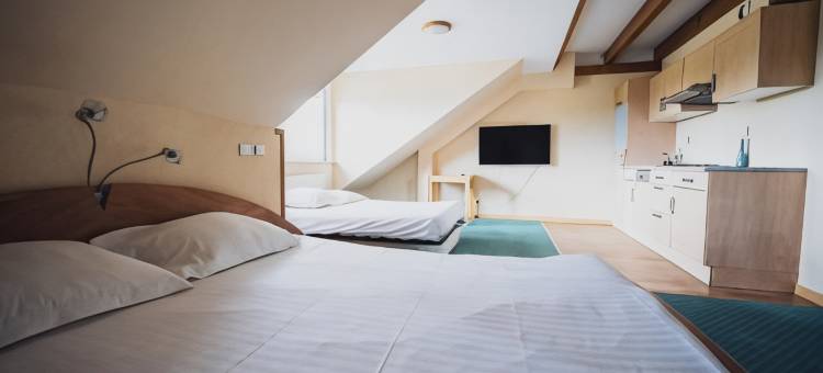 多农山酒店(Hotel du Donon)图片