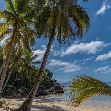 马达加斯加8日7晚私家团