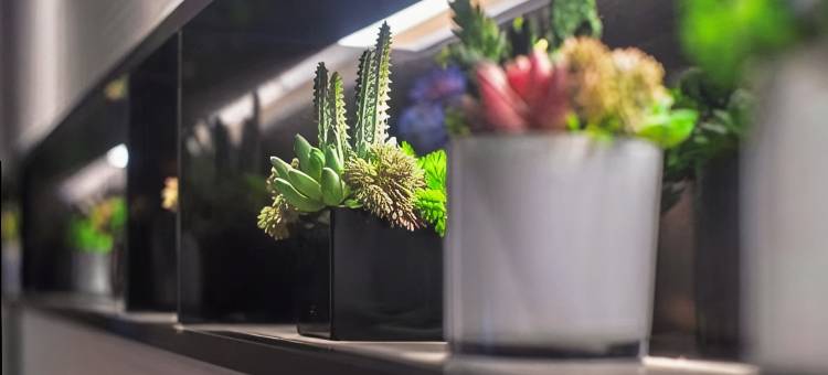 如家睿柏云酒店(临朐县政府店)图片