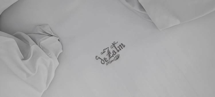 萨尔姆酒店(Hotel de Zalm)图片