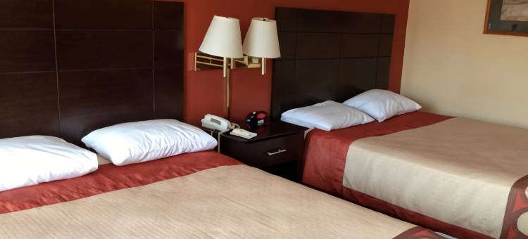 沃斯堡北速8酒店(Super 8 by Wyndham Fort Worth North)图片