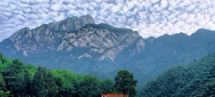 格林豪泰智选酒店(黄山风景区北大门换乘中心店)图片