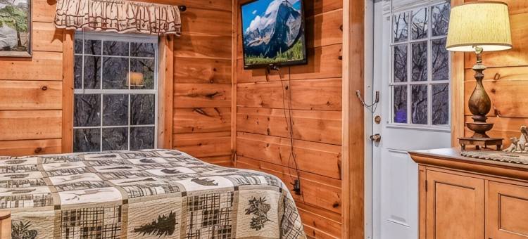 查看优惠！大烟山木屋(小鸽子河畔，山景)- 230条好评(See Offers! Smoky Mt Cabin on Little Pigeon River w/ Mt View - 230 Great Reviews)图片