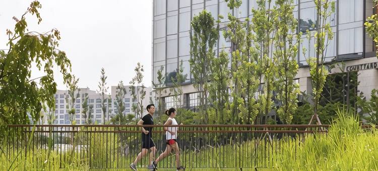 首尔植物园万怡酒店(Courtyard by Marriott Seoul Botanic Park)图片