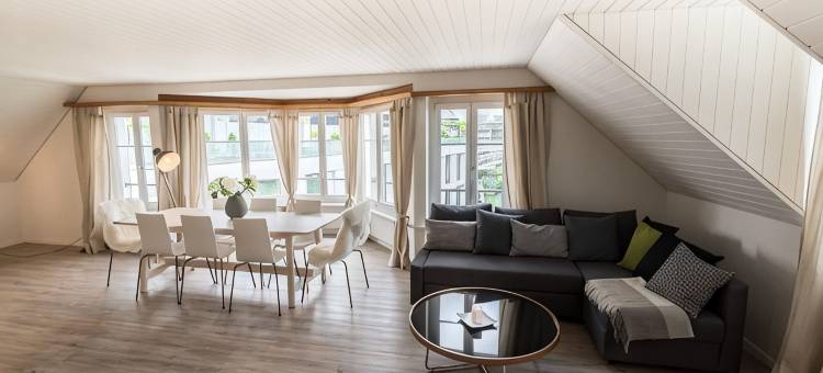 天空之家车站附近乐闻普拉茨公寓(Löwenplatz Apartment Near Station by Airhome)图片