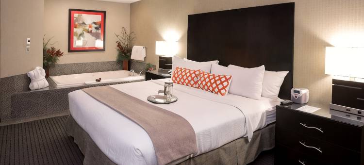 圣保罗东北 - 埃尔莫湖假日酒店(Holiday Inn & Suites ST. PAUL NE - LAKE ELMO by IHG)图片