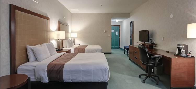 尼斯库艾德蒙顿机场温德姆华美达酒店(Ramada by Wyndham Nisku Edmonton Airport)图片