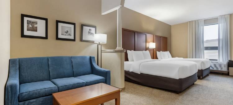 休斯顿西北舒适套房酒店-复古公园(Comfort Suites Houston NW - Vintage Park)图片