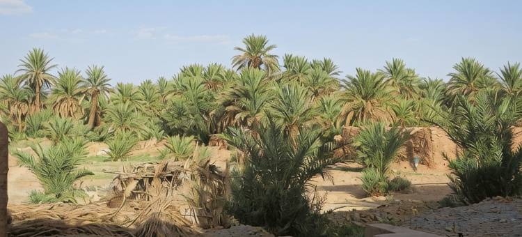 卡斯巴赫世界尽头酒店(Kasbah du Bout du Monde)图片