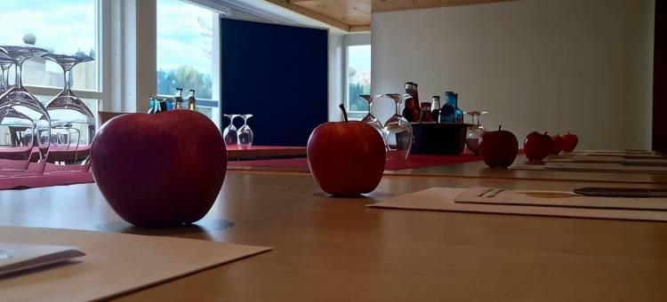 克罗纳赫经济型酒店(Economy Hotel Kronach)图片