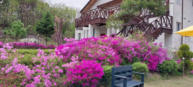 齐川Dream Lake旅馆(Jecheon Dream Lake Pension)图片
