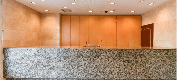 冈崎第一东翼酒店(Okazaki Dai Ichi Hotel East Wing)图片
