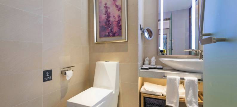 金丽枫酒店(深圳宝安联投东方park店)图片