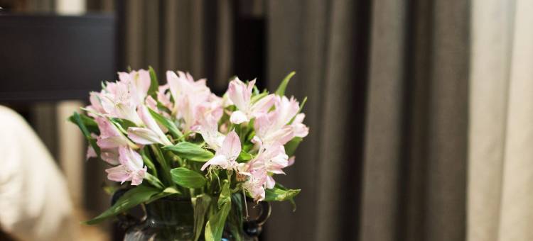 焦作壹宝酒店(焦作站月季公园店)图片