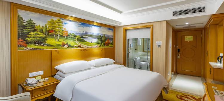 维也纳酒店(耒阳店)图片