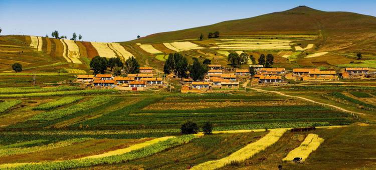 如家·华驿酒店(张北汽车总站店)图片