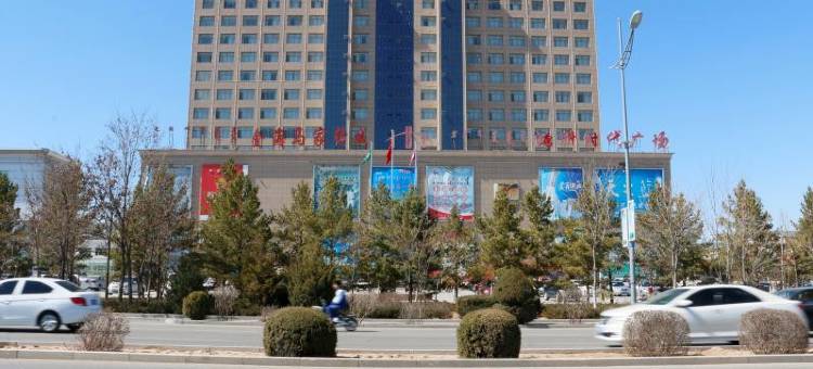 乌审旗东方明珠国际酒店图片