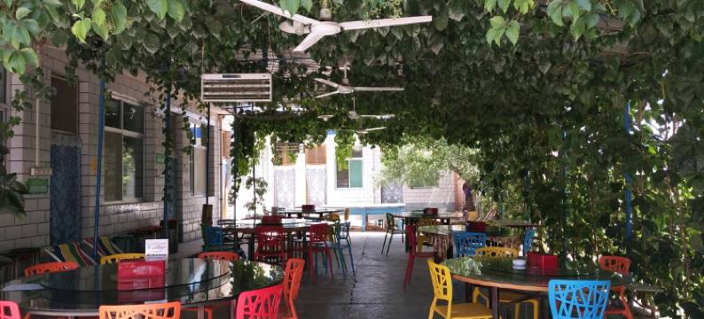 中卫金沙果寨客栈图片