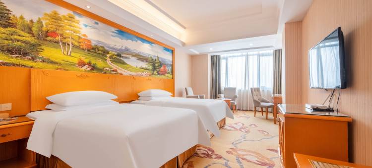 维也纳3好酒店(东莞道滘汇丰国际店)图片