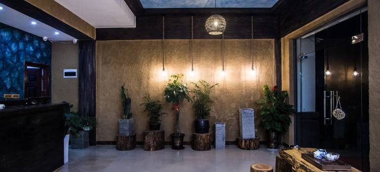 漓歌客栈(桂林两江四湖店)图片