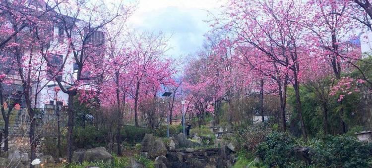 花间墅图片