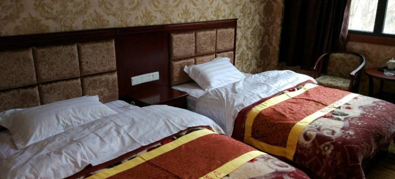 左贡察瓦藏东大酒店图片