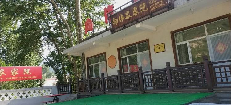 涞源向伟农家院图片