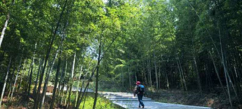 南京翠萍农家图片