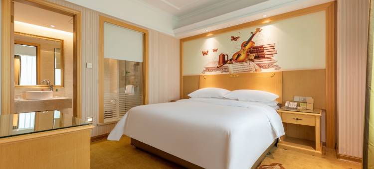 维也纳酒店(乐东公园店)图片