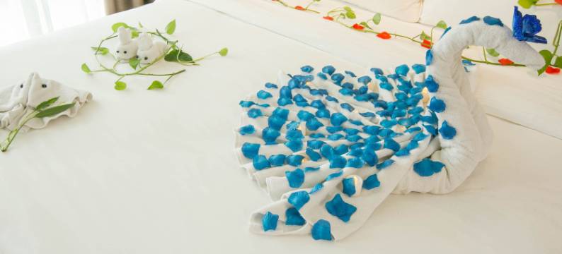 麗枫酒店(武汉武大店)图片