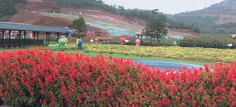 皇城相府803家庭宾馆图片