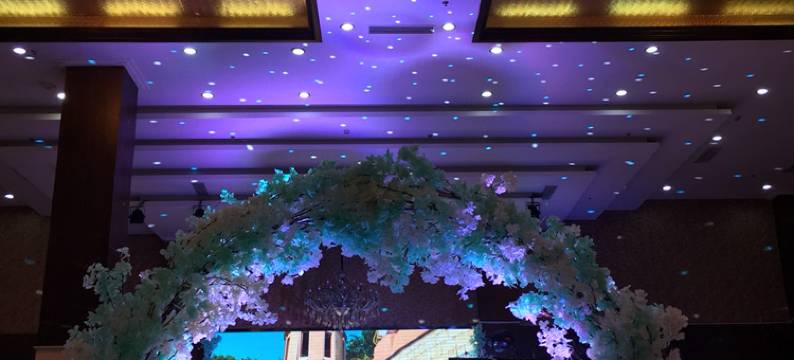 郫县望阳阁乡村酒店图片