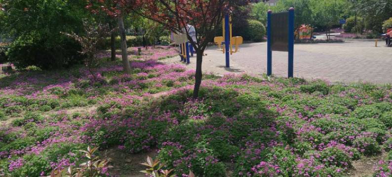 郑州梦中原北欧精品公寓(东风南路地铁站店)图片