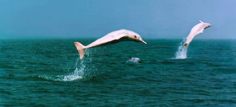 钦州海上楼旅馆图片
