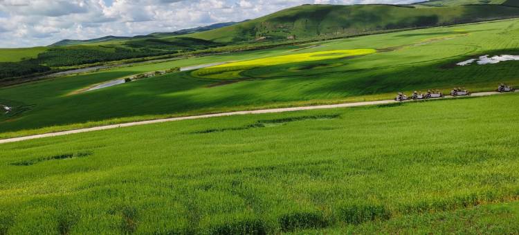 额尔古纳安尼沙之家客栈图片