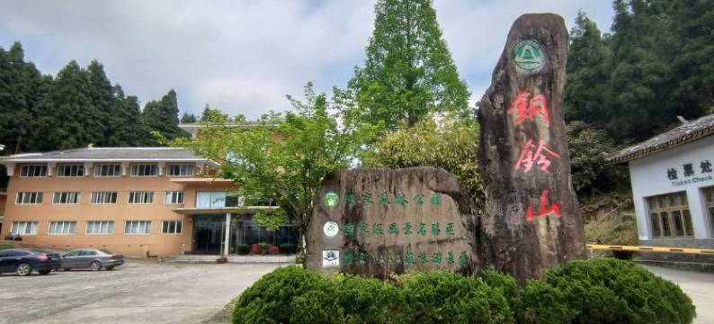 文成铜铃山森林度假村图片