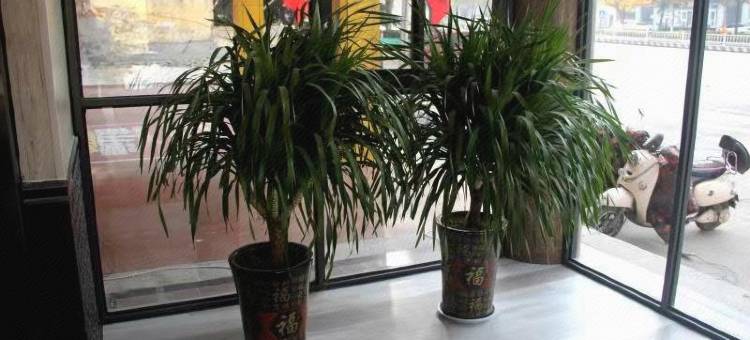 都市118MINI·精选(蒙阴县政府店)图片