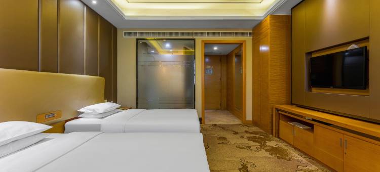 京山金山国际大酒店图片