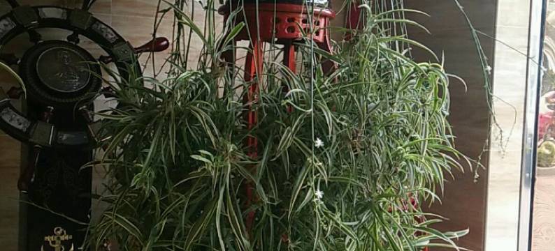 镇江宜成宾馆(高铁南站店)图片