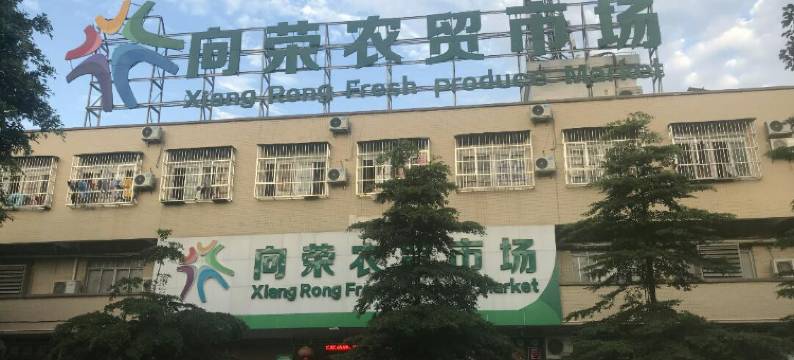 海口荣达优选酒店(现代妇女儿童医院店)图片