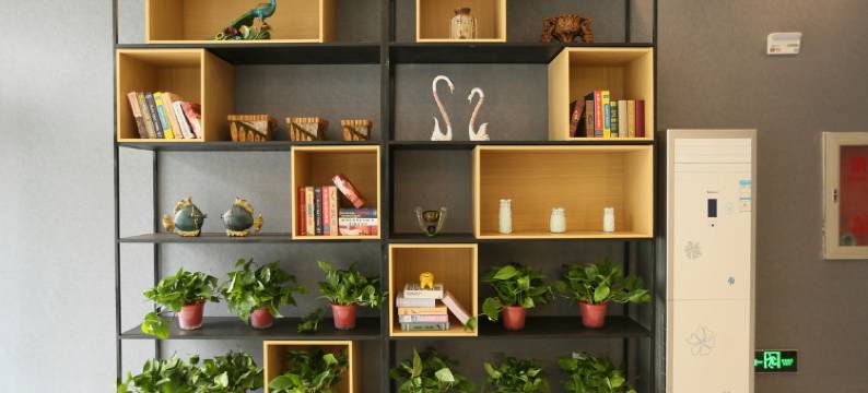 绥中金星宾馆图片